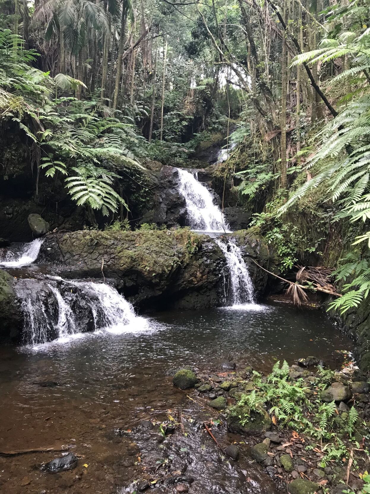 Botanic gardens in Hawaii